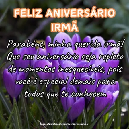 Parabéns, minha querida irmã! Que seu aniversário seja repleto de momentos inesquecíveis, pois você é especial demais para todos que te conhecem. Parabéns, minha querida irmã! Que seu aniversário seja repleto de momentos inesquecíveis, pois você é especial demais para todos que te conhecem.