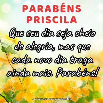 Feliz aniversário Priscila! Que seu dia seja cheio de alegria, mas que cada novo dia traga ainda mais.  Parabéns!