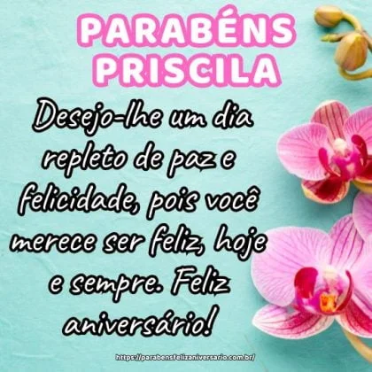 Parabéns Priscila! Desejo-lhe um dia repleto de paz e felicidade, pois você merece ser feliz, hoje e sempre. Feliz aniversário! 