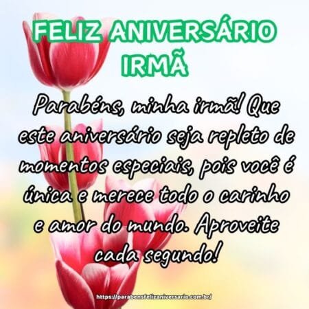 Parabéns, minha irmã! Que este aniversário seja repleto de momentos especiais, pois você é única e merece todo o carinho e amor do mundo. Aproveite cada segundo! Parabéns, minha irmã! Que este aniversário seja repleto de momentos especiais, pois você é única e merece todo o carinho e amor do mundo. Aproveite cada segundo!