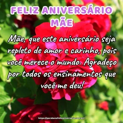 Mãe, que este aniversário seja repleto de amor e carinho, pois você merece o mundo. Agradeço por todos os ensinamentos que você me deu!