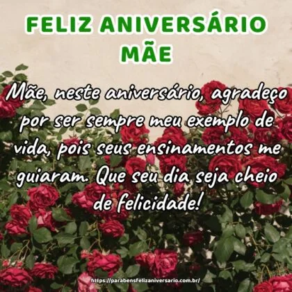 Mãe, neste aniversário, agradeço por ser sempre meu exemplo de vida, pois seus ensinamentos me guiaram. Que seu dia seja cheio de felicidade!