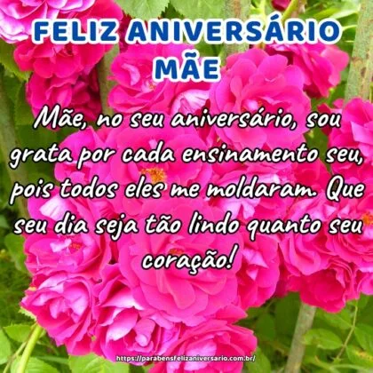 Mãe, no seu aniversário, sou grata por cada ensinamento seu, pois todos eles me moldaram. Que seu dia seja tão lindo quanto seu coração!