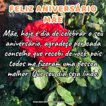 Mãe, hoje é dia de celebrar o seu aniversário, agradeço por cada conselho que recebi de você, pois todos me fizeram uma pessoa melhor. Que seu dia seja lindo!