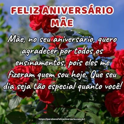 Mãe, no seu aniversário, quero agradecer por todos os ensinamentos, pois eles me fizeram quem sou hoje. Que seu dia seja tão especial quanto você!