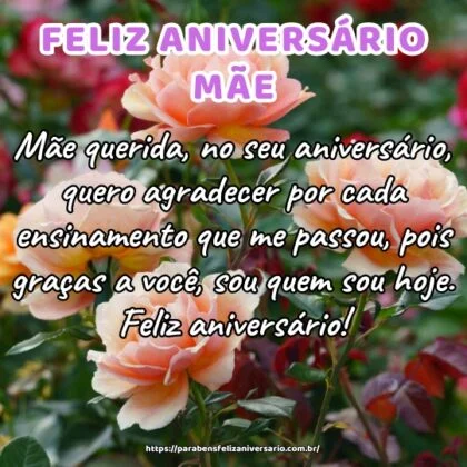 Mãe querida, no seu aniversário, quero agradecer por cada ensinamento que me passou, pois graças a você, sou quem sou hoje. Feliz aniversário!