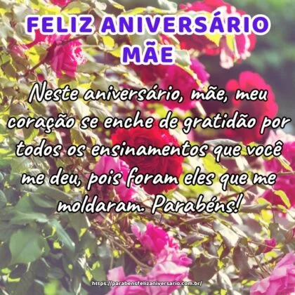 Neste aniversário, mãe, meu coração se enche de gratidão por todos os ensinamentos que você me deu, pois foram eles que me moldaram. Parabéns!