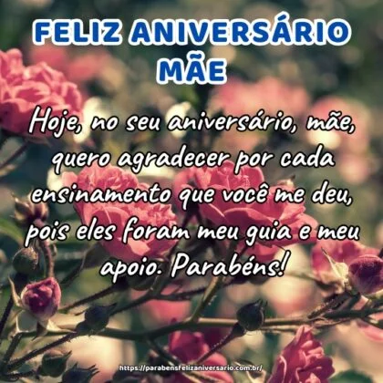 Hoje, no seu aniversário, mãe, quero agradecer por cada ensinamento que você me deu, pois eles foram meu guia e meu apoio. Parabéns!