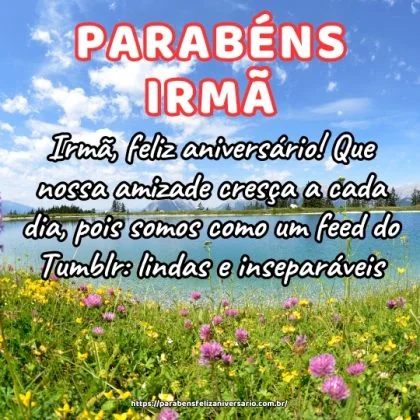 Irmã, feliz aniversário! Que nossa amizade cresça a cada dia, pois somos como um feed do Tumblr: lindas e inseparáveis.