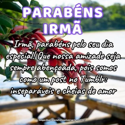 Irmã, parabéns pelo seu dia especial! Que nossa amizade seja sempre abençoada, pois somos como um post no Tumblr: inseparáveis e cheias de amor.