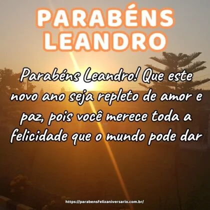 Parabéns Leandro! Que este novo ano seja repleto de amor e paz, pois você merece toda a felicidade que o mundo pode dar.