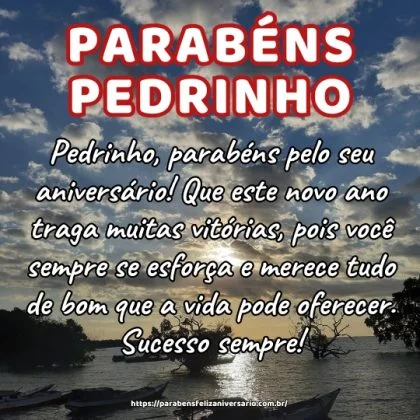 Pedrinho, parabéns pelo seu aniversário! Que este novo ano traga muitas vitórias, pois você sempre se esforça e merece tudo de bom que a vida pode oferecer. Sucesso sempre!