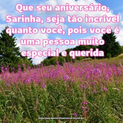Que seu aniversário, Sarinha, seja tão incrível quanto você, pois você é uma pessoa muito especial e querida. Que seu aniversário, Sarinha, seja tão incrível quanto você, pois você é uma pessoa muito especial e querida.
