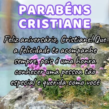 Feliz aniversário, Cristiane! Que a felicidade te acompanhe sempre, pois é uma honra conhecer uma pessoa tão especial e querida como você.