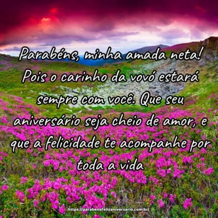 Parabéns, minha amada neta! Pois o carinho da vovó estará sempre com você. Que seu aniversário seja cheio de amor, e que a felicidade te acompanhe por toda a vida.