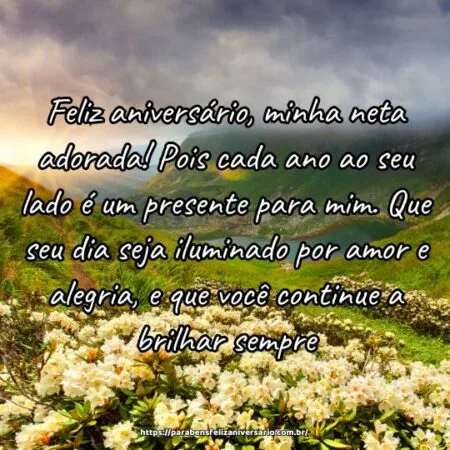 Feliz aniversário, minha neta adorada! Pois cada ano ao seu lado é um presente para mim. Que seu dia seja iluminado por amor e alegria, e que você continue a brilhar sempre.