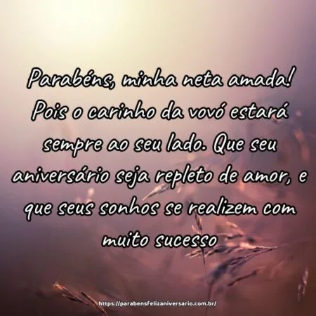 Parabéns, minha neta amada! Pois o carinho da vovó estará sempre ao seu lado. Que seu aniversário seja repleto de amor, e que seus sonhos se realizem com muito sucesso.