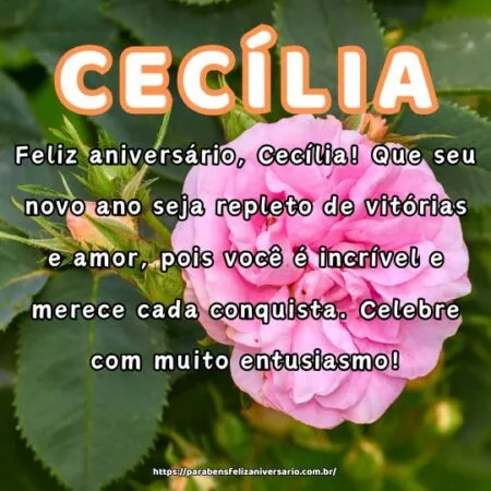 Feliz aniversário, Cecília! Que seu novo ano seja repleto de vitórias e amor, pois você é incrível e merece cada conquista. Celebre com muito entusiasmo!