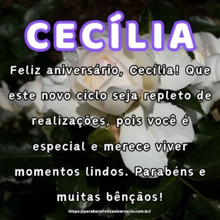 Feliz aniversário, Cecília! Que este novo ciclo seja repleto de realizações, pois você é especial e merece viver momentos lindos. Parabéns e muitas bênçãos!