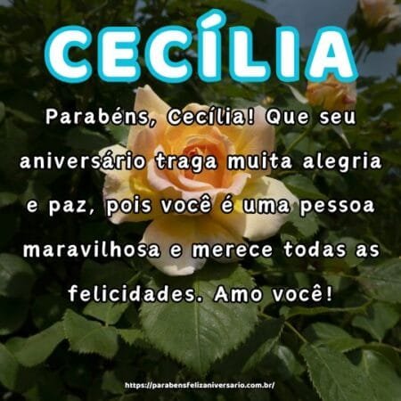 Parabéns, Cecília! Que seu aniversário traga muita alegria e paz, pois você é uma pessoa maravilhosa e merece todas as felicidades. Amo você! Parabéns, Cecília! Que seu aniversário traga muita alegria e paz, pois você é uma pessoa maravilhosa e merece todas as felicidades. Amo você!