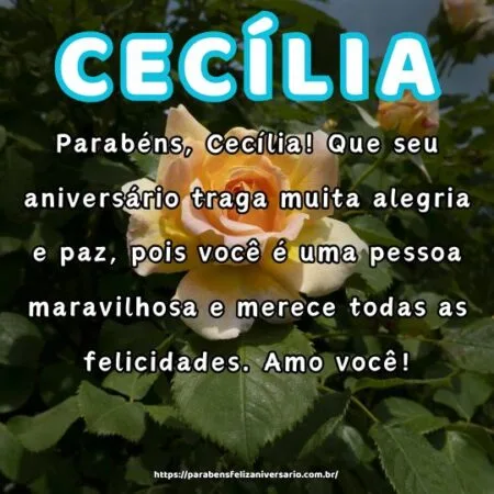 Parabéns, Cecília! Que seu aniversário traga muita alegria e paz, pois você é uma pessoa maravilhosa e merece todas as felicidades. Amo você!
