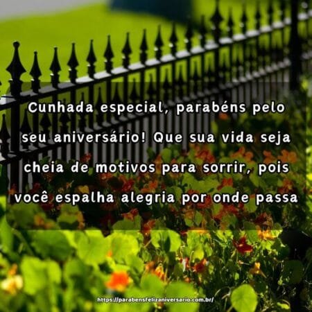Cunhada especial, parabéns pelo seu aniversário! Que sua vida seja cheia de motivos para sorrir, pois você espalha alegria por onde passa. Cunhada especial, parabéns pelo seu aniversário! Que sua vida seja cheia de motivos para sorrir, pois você espalha alegria por onde passa.