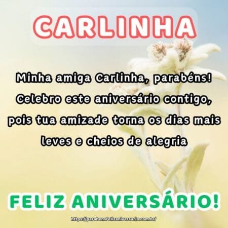 Minha amiga Carlinha, parabéns! Celebro este aniversário contigo, pois tua amizade torna os dias mais leves e cheios de alegria. Minha amiga Carlinha, parabéns! Celebro este aniversário contigo, pois tua amizade torna os dias mais leves e cheios de alegria.