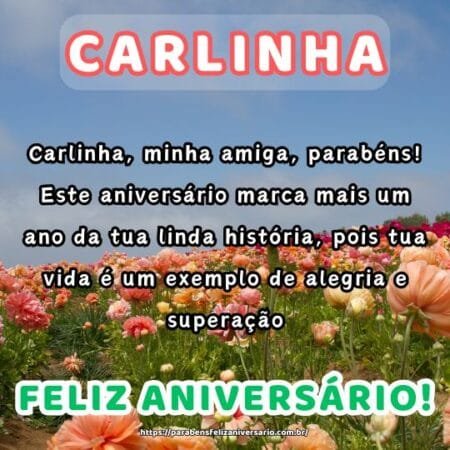 Carlinha, minha amiga, parabéns! Este aniversário marca mais um ano da tua linda história, pois tua vida é um exemplo de alegria e superação. Carlinha, minha amiga, parabéns! Este aniversário marca mais um ano da tua linda história, pois tua vida é um exemplo de alegria e superação.
