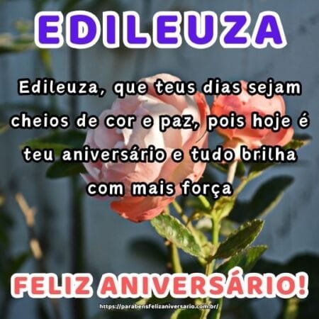 Edileuza, que teus dias sejam cheios de cor e paz, pois hoje é teu aniversário e tudo brilha com mais força. Edileuza, que teus dias sejam cheios de cor e paz, pois hoje é teu aniversário e tudo brilha com mais força.