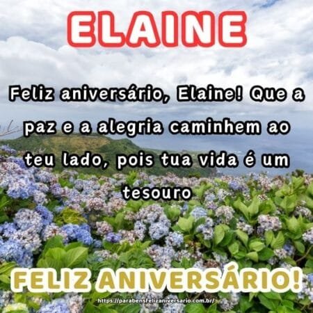 Feliz aniversário, Elaine! Que a paz e a alegria caminhem ao teu lado, pois tua vida é um tesouro. Feliz aniversário, Elaine! Que a paz e a alegria caminhem ao teu lado, pois tua vida é um tesouro.