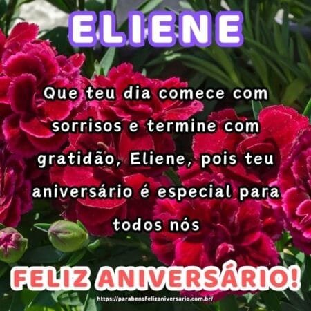 Que teu dia comece com sorrisos e termine com gratidão, Eliene, pois teu aniversário é especial para todos nós. Que teu dia comece com sorrisos e termine com gratidão, Eliene, pois teu aniversário é especial para todos nós.