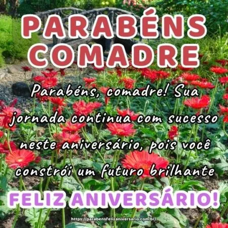 Parabéns, comadre! Sua jornada continua com sucesso neste aniversário, pois você constrói um futuro brilhante.