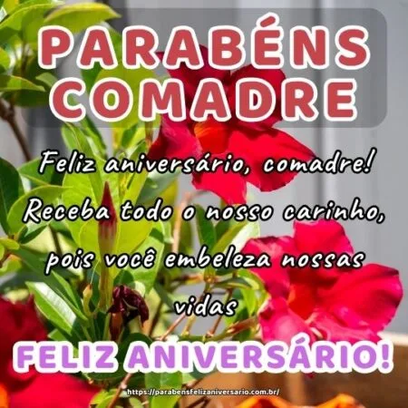 Feliz aniversário, comadre! Receba todo o nosso carinho, pois você embeleza nossas vidas.