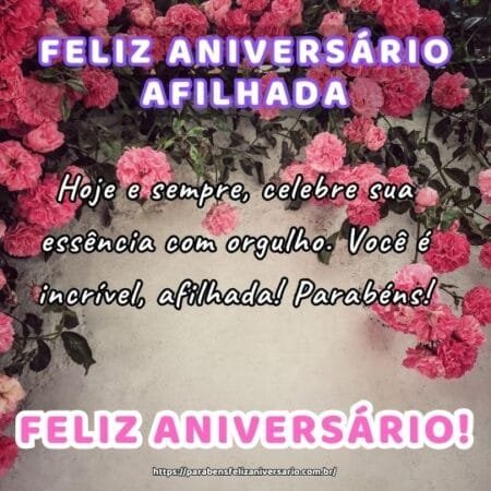 Hoje e sempre, celebre sua essência com orgulho. Você é incrível, afilhada! Parabéns! Hoje e sempre, celebre sua essência com orgulho. Você é incrível, afilhada! Parabéns!